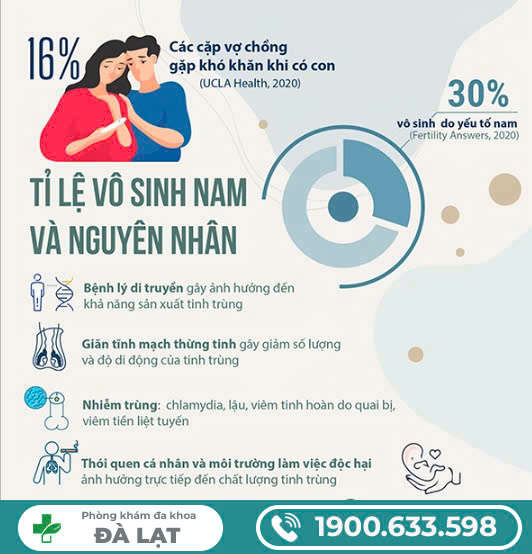Hình ảnh minh họa