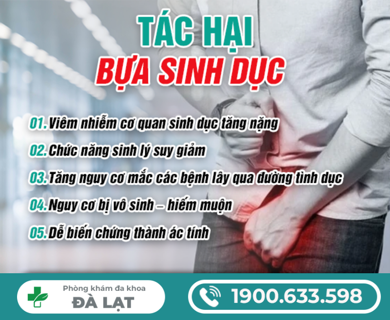 Hình ảnh minh họa