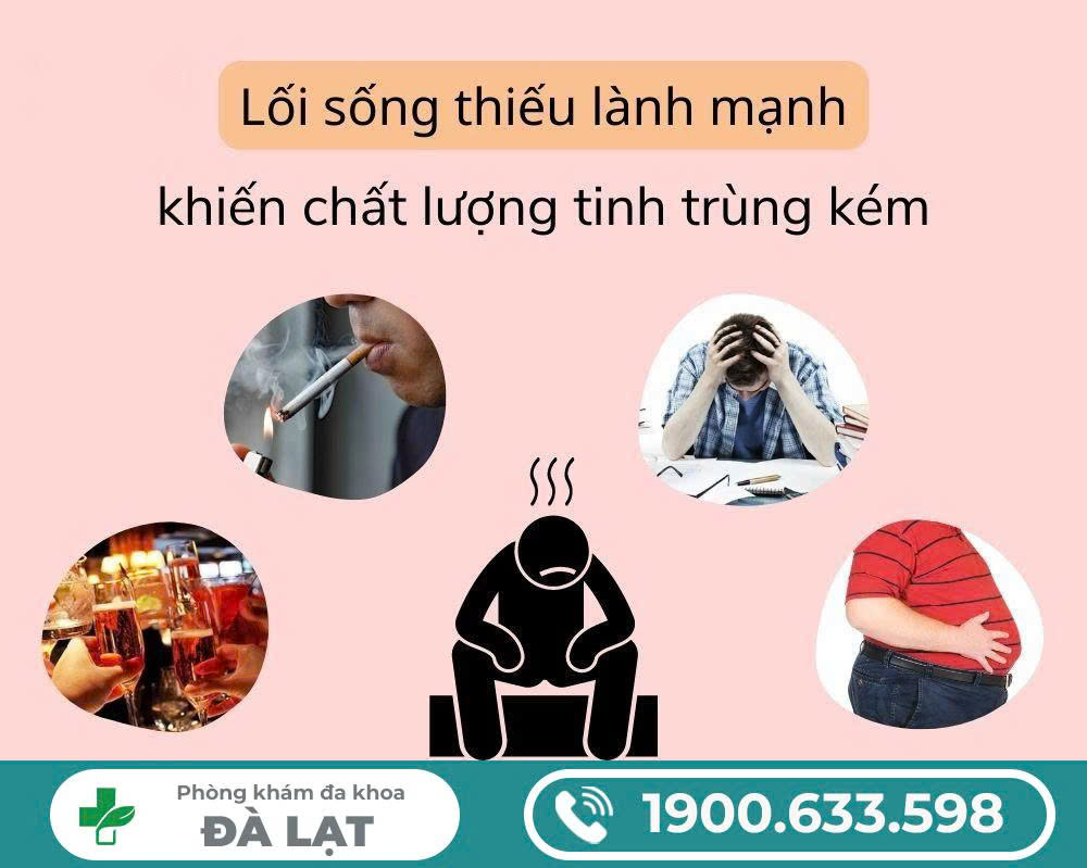 Hình ảnh minh họa